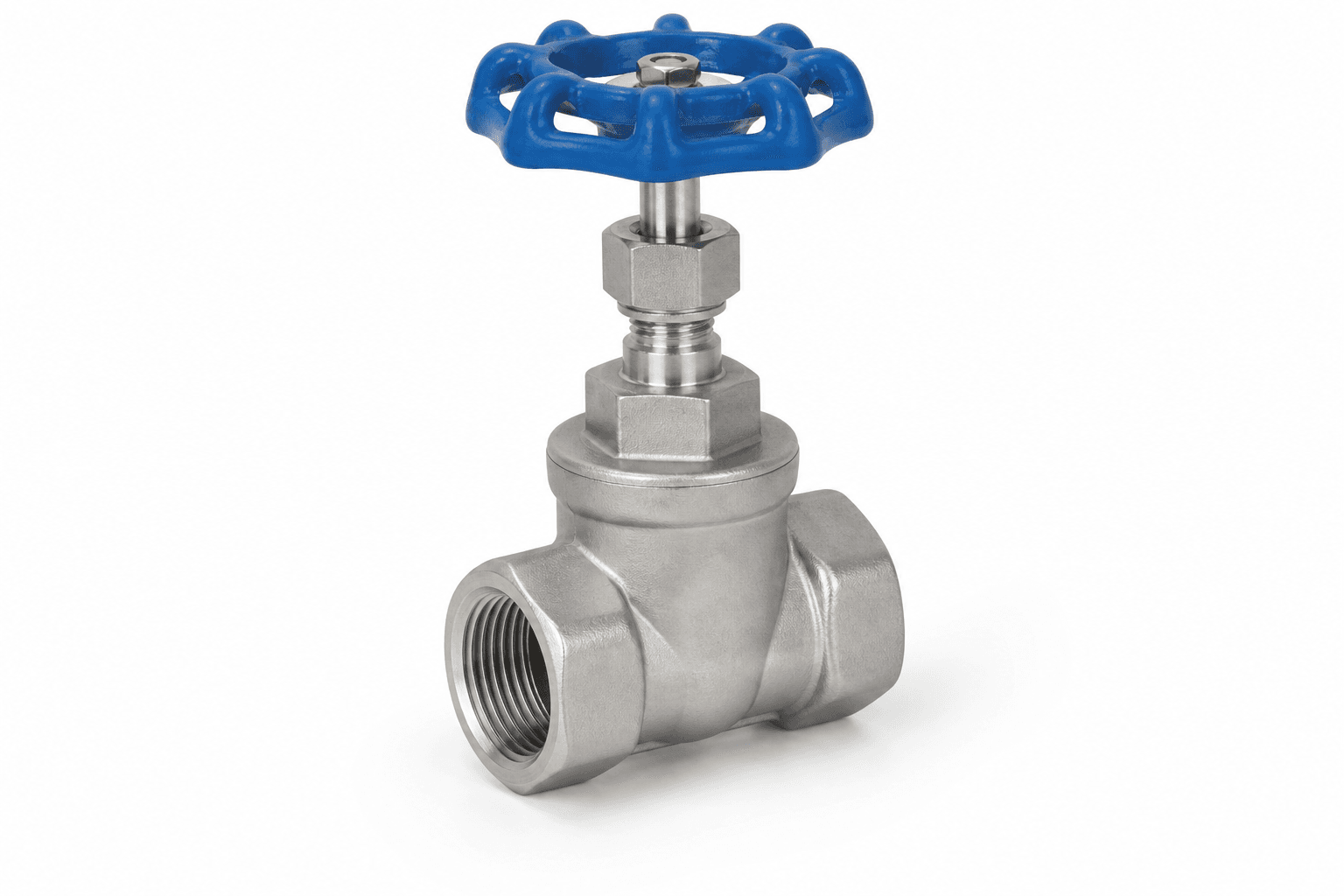 Gate valve DN20